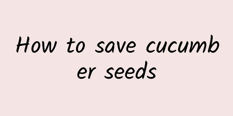 How to save cucumber seeds