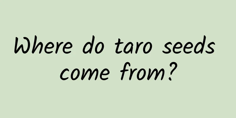 Where do taro seeds come from?