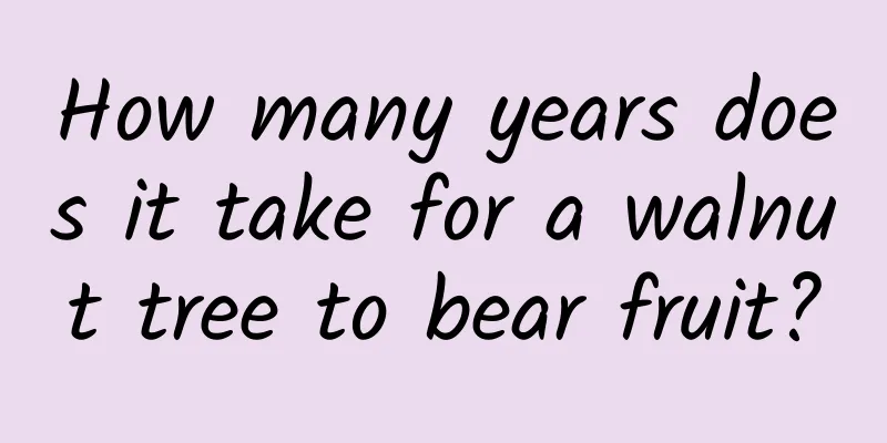 How many years does it take for a walnut tree to bear fruit?