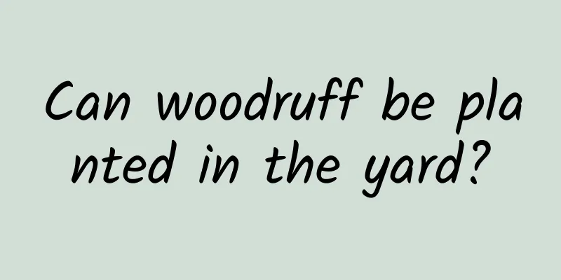 Can woodruff be planted in the yard?