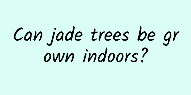 Can jade trees be grown indoors?