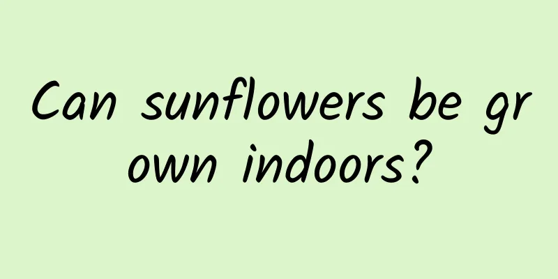 Can sunflowers be grown indoors?