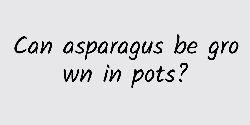 Can asparagus be grown in pots?