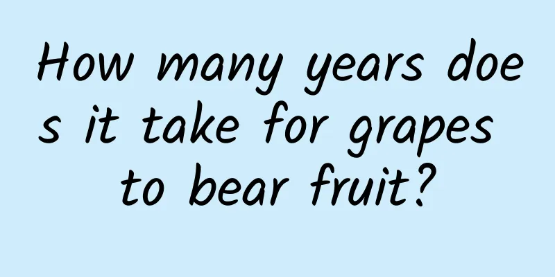How many years does it take for grapes to bear fruit?