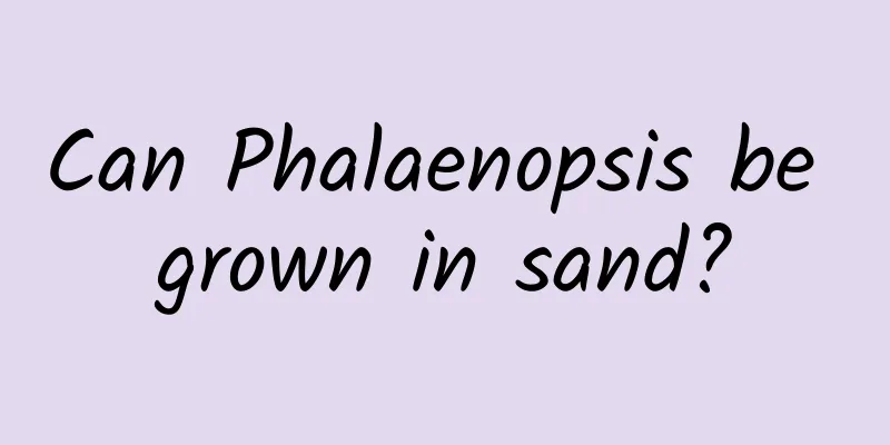 Can Phalaenopsis be grown in sand?