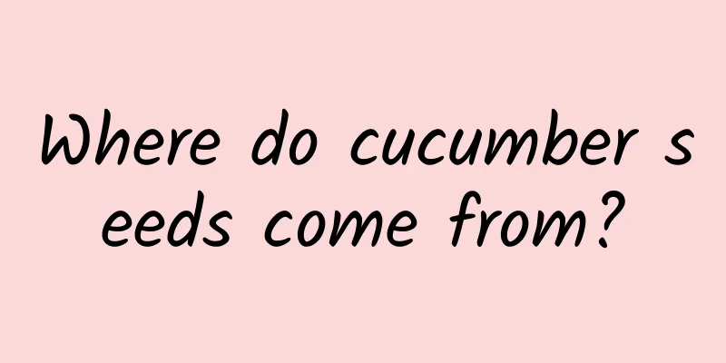 Where do cucumber seeds come from?