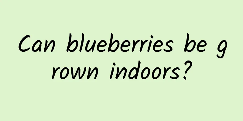 Can blueberries be grown indoors?