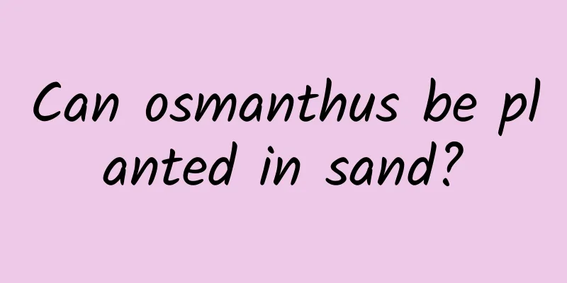 Can osmanthus be planted in sand?