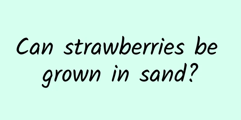 Can strawberries be grown in sand?