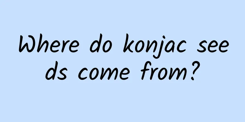 Where do konjac seeds come from?