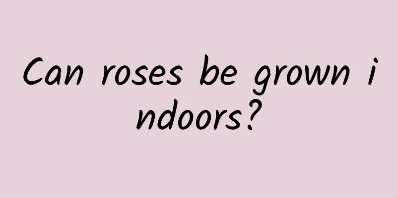 Can roses be grown indoors?