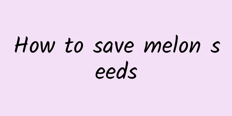 How to save melon seeds