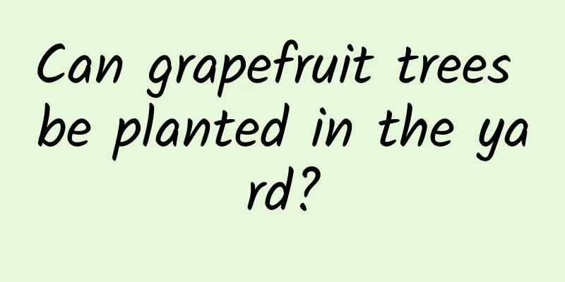 Can grapefruit trees be planted in the yard?