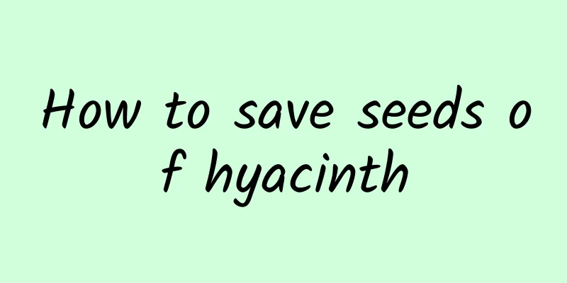 How to save seeds of hyacinth