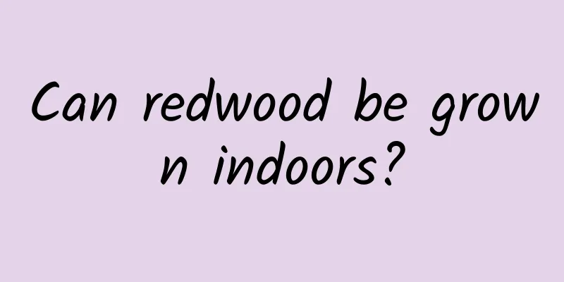 Can redwood be grown indoors?