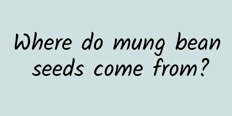 Where do mung bean seeds come from?