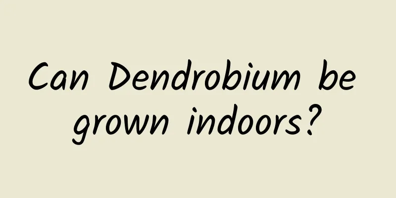 Can Dendrobium be grown indoors?