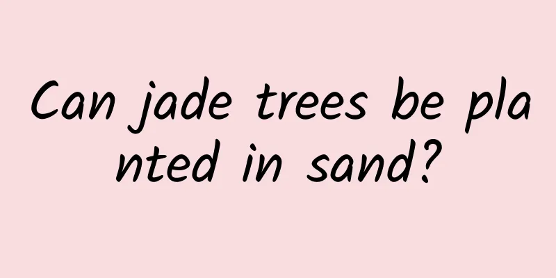 Can jade trees be planted in sand?