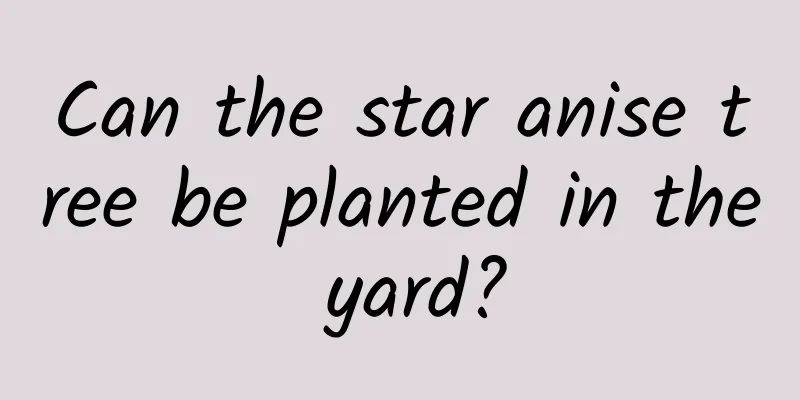 Can the star anise tree be planted in the yard?