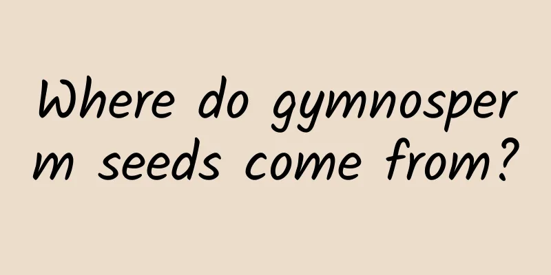 Where do gymnosperm seeds come from?