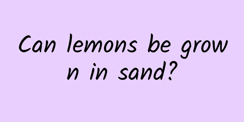 Can lemons be grown in sand?