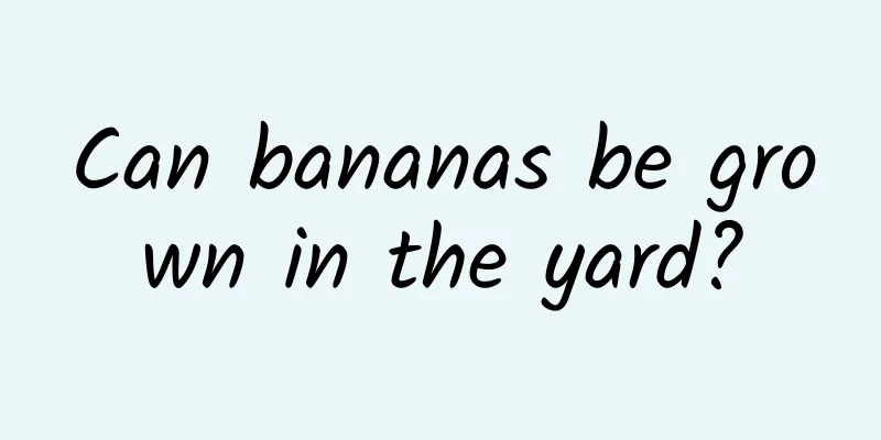 Can bananas be grown in the yard?