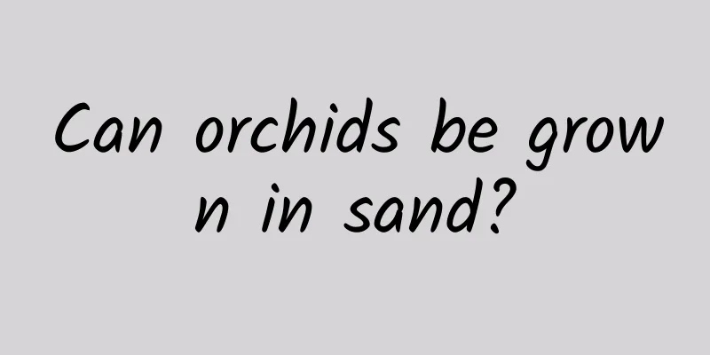 Can orchids be grown in sand?