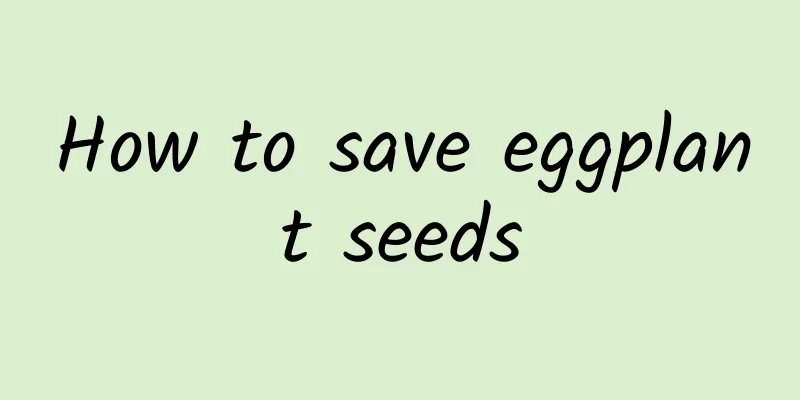 How to save eggplant seeds