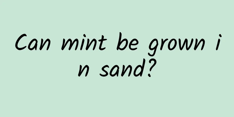 Can mint be grown in sand?