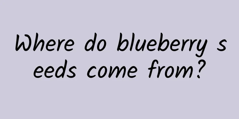 Where do blueberry seeds come from?