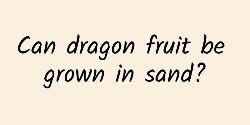 Can dragon fruit be grown in sand?