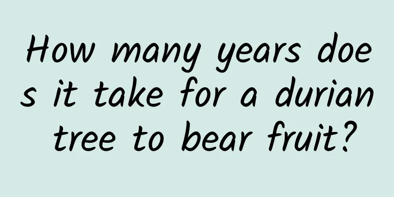 How many years does it take for a durian tree to bear fruit?