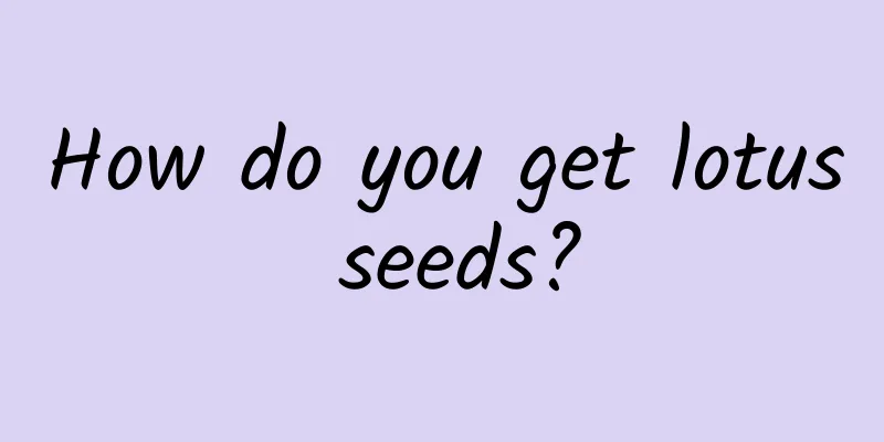 How do you get lotus seeds?