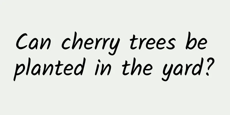 Can cherry trees be planted in the yard?