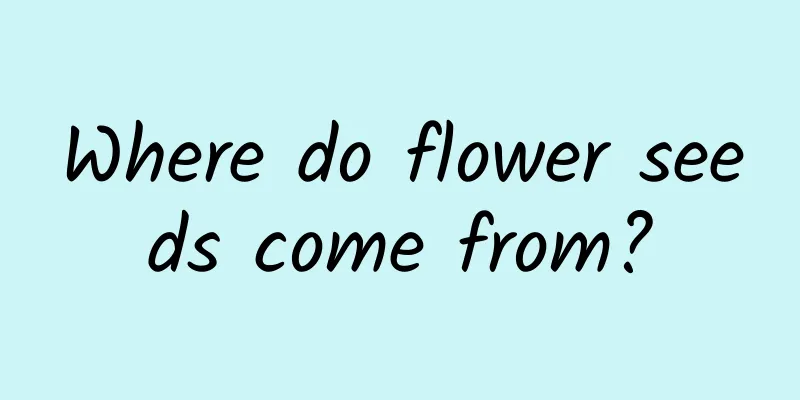 Where do flower seeds come from?