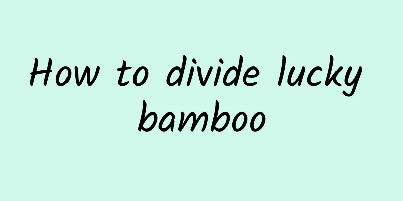 How to divide lucky bamboo