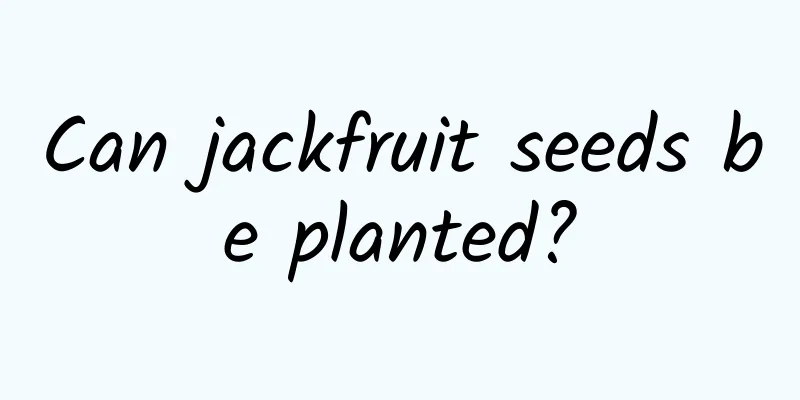 Can jackfruit seeds be planted?