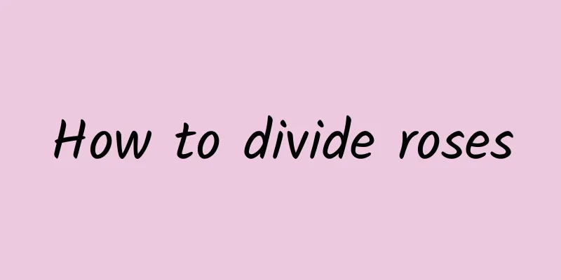 How to divide roses