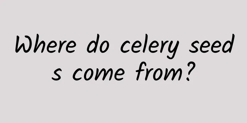 Where do celery seeds come from?