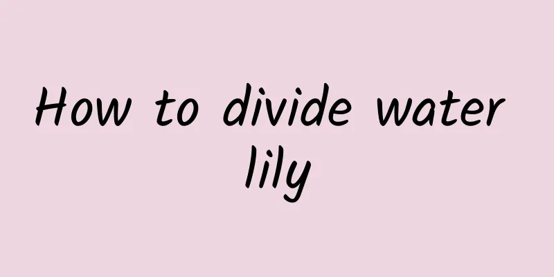How to divide water lily