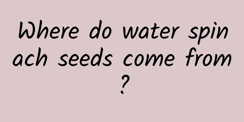 Where do water spinach seeds come from?