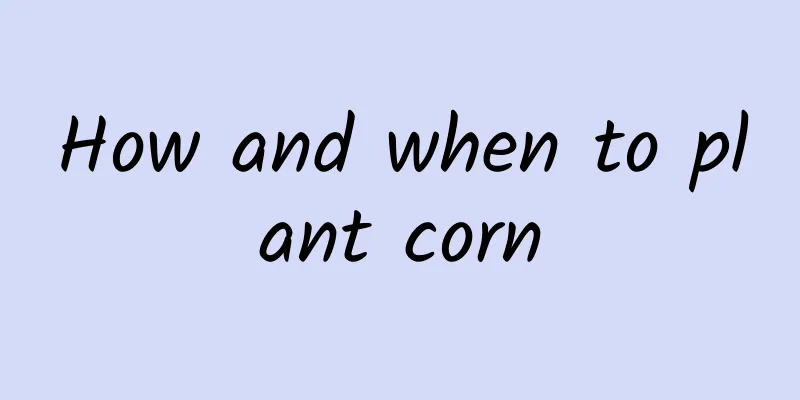 How and when to plant corn