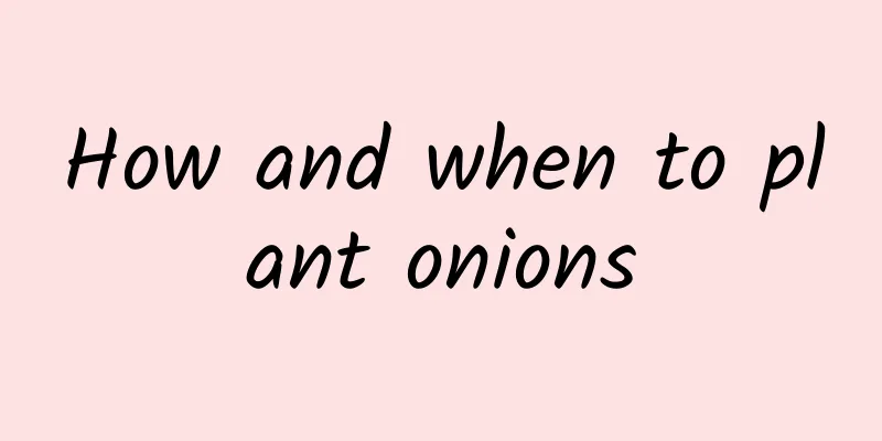 How and when to plant onions