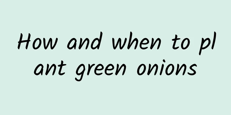 How and when to plant green onions