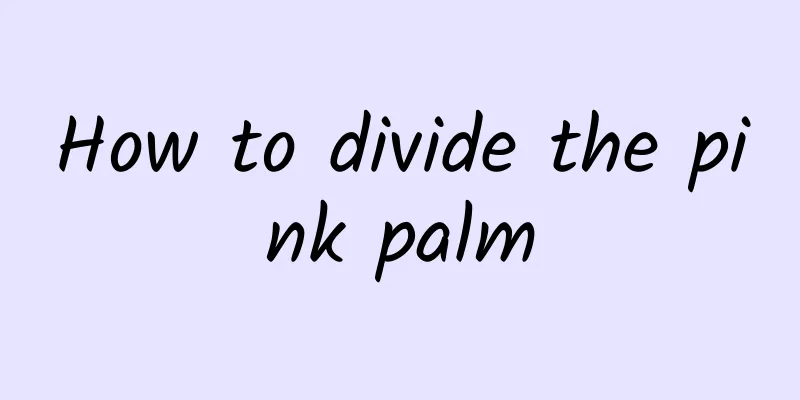 How to divide the pink palm