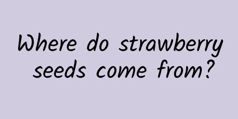 Where do strawberry seeds come from?