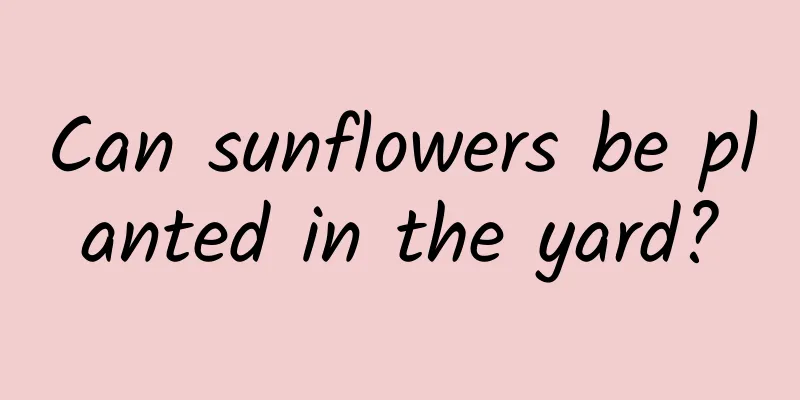 Can sunflowers be planted in the yard?