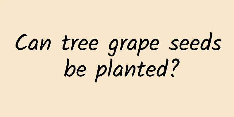 Can tree grape seeds be planted?