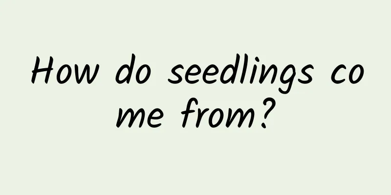 How do seedlings come from?