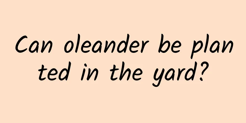 Can oleander be planted in the yard?